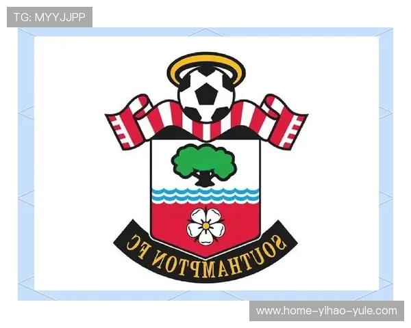 南安普顿足球俱乐部发展历程与青年人才培养全景解析